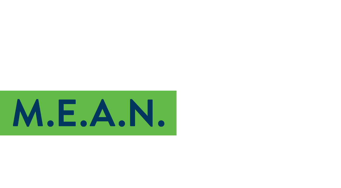 Title: Minnesota Electric Aviation Network M.E.A.N. Study